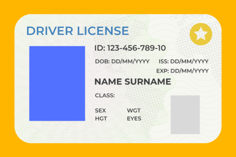 Graphic of drivers license