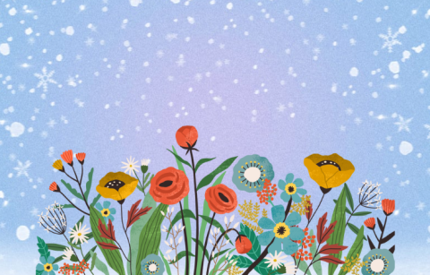 variety of flowers against a snowy background