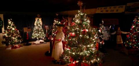 A picture of a Christmas Tree at Festival of Lights. 