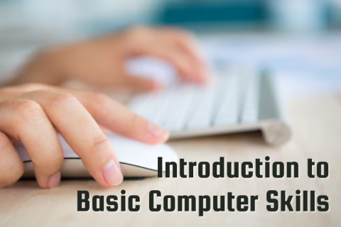 Text "Introduction to Basic Computer Skills" in front of image of hands operating a keyboard and mouse