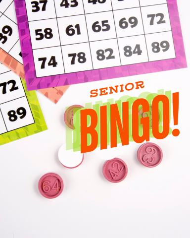 Bingo cards and chips with text "Senior Bingo!"