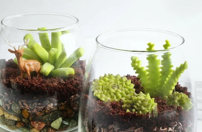 two terrariums filled with succulent plants and dirt