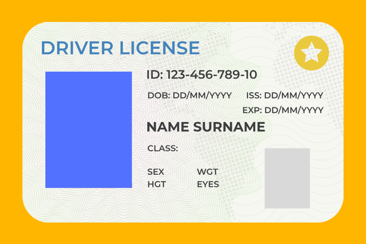 Graphic of drivers license